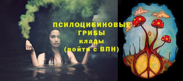 бошки Горно-Алтайск