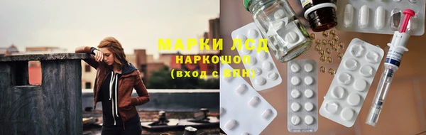 Альфа ПВП Горняк