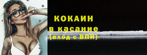 Альфа ПВП Горняк