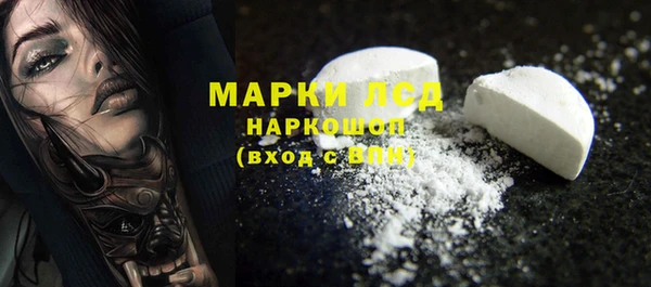 Альфа ПВП Горняк