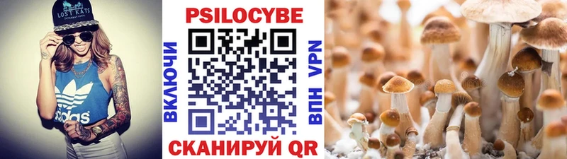 Купить где  Чудово  Галлюциногенные грибы ЛСД 