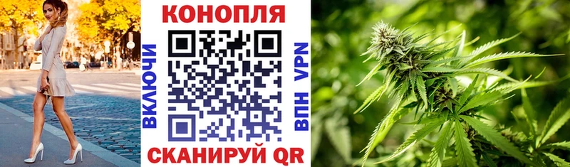 Бошки марихуана гибрид  Купить где  Чудово 